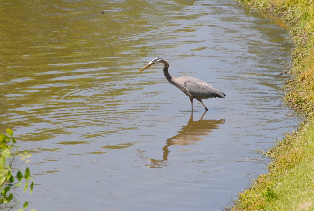 Leasing Cross Creek Atlanta